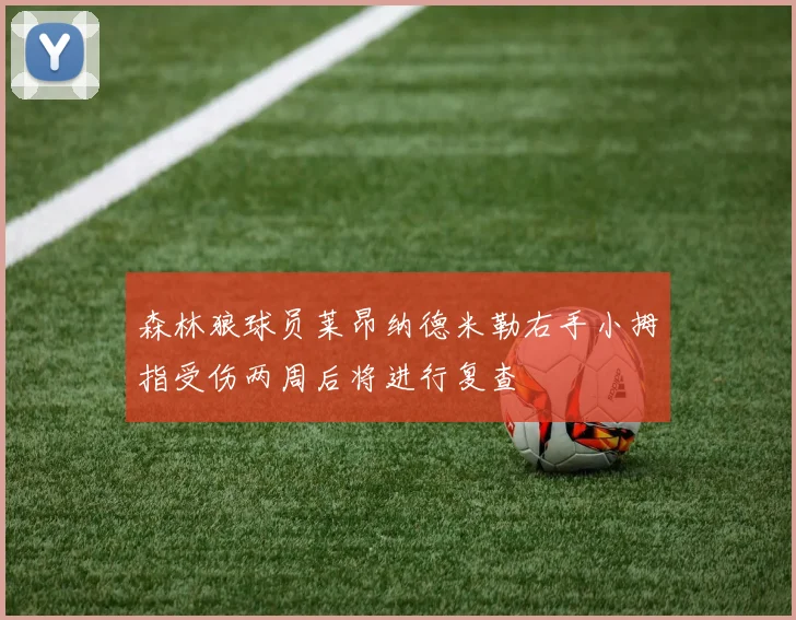 森林狼球员莱昂纳德米勒右手小拇指受伤两周后将进行复查