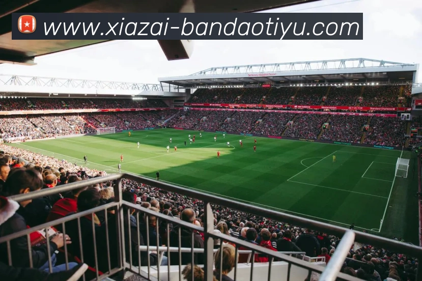 半岛体育平台生态图