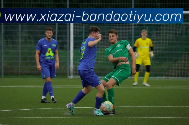 半岛体育APP 封面图